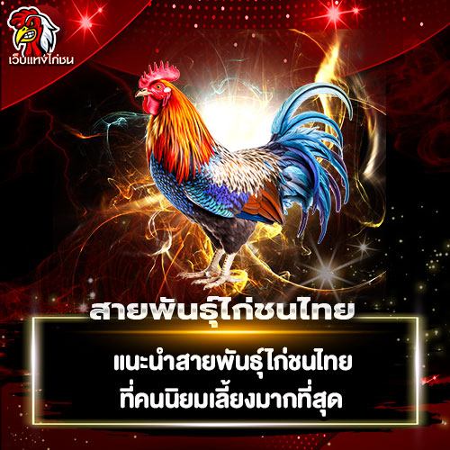 สายพันธุ์ไก่ชนไทย