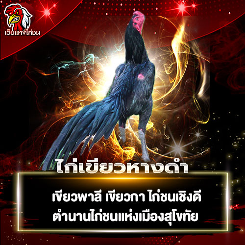 ไก่เขียวหางดำ