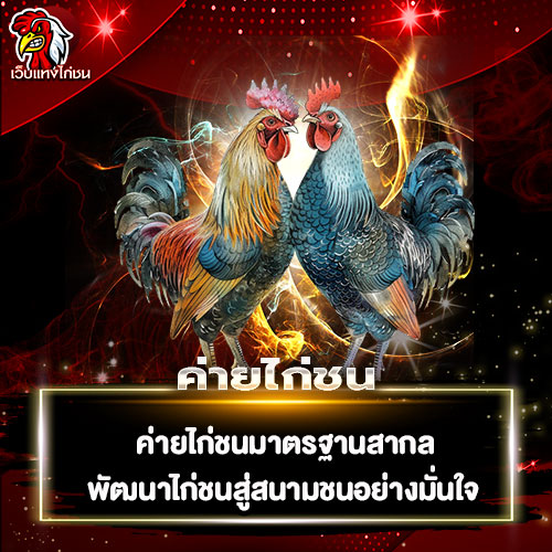 ค่ายไก่ชน