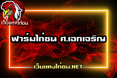 ฟาร์มไก่ชน-ศ.เอกเจริญ