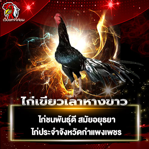 ไก่เขียวเลาหางขาว