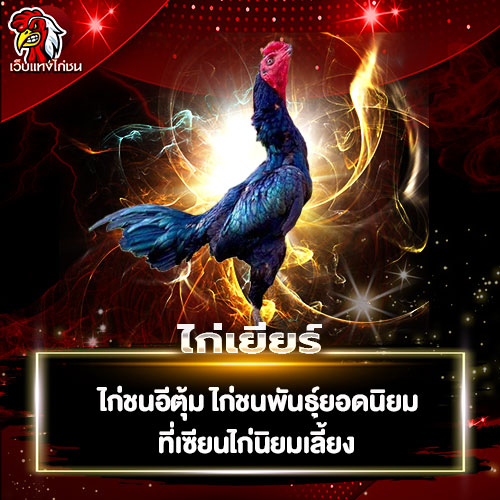 ไก่เยียร์