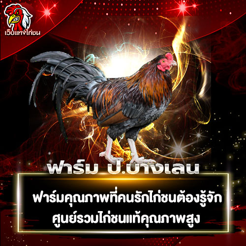 ฟาร์ม-ป.บางเลน