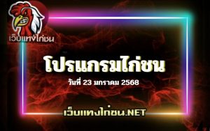 โปรแกรมไก่ชน ประจำวันพุธที่ 23 มกราคม 2568